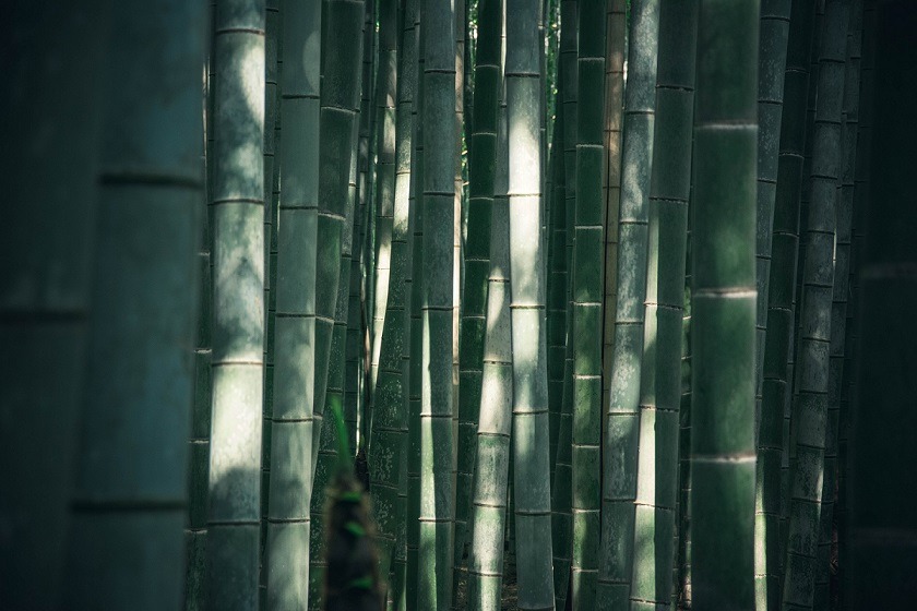 ����b��������b����